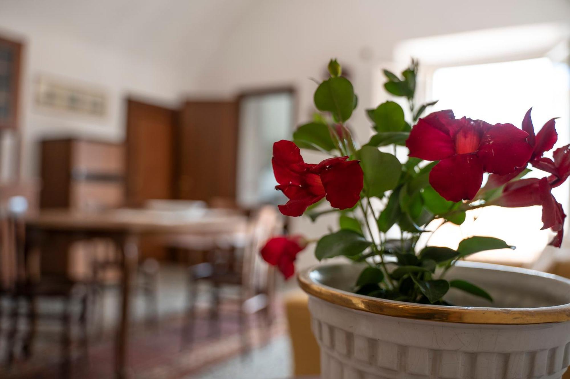 Il Casanova Hotell Tropea Rum bild
